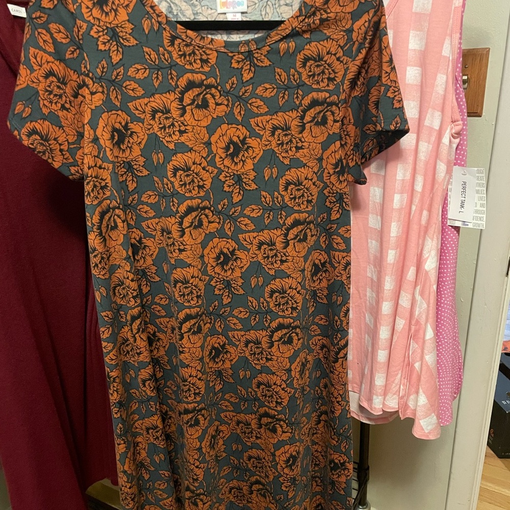 LuLaroe Carly size M dress